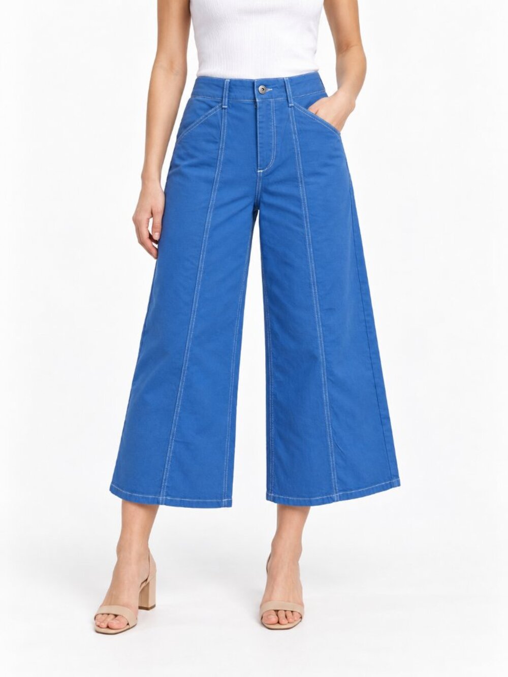 Anthropologie Maeve Blue Wide Leg Crop Pants 29P